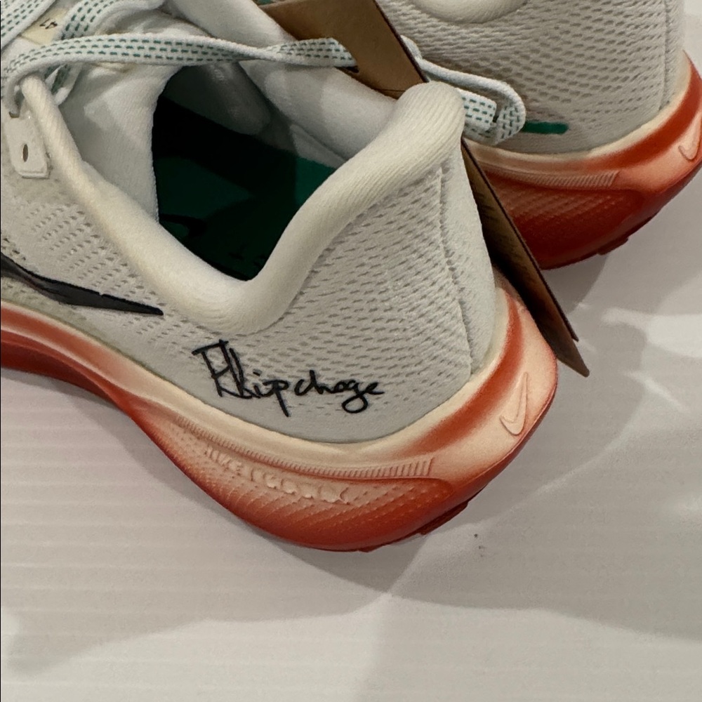 Nike Pegasus 41 EK Limited Edition Size Men 7/ Women 8.5 Brand New with Box! - Picture 6 of 10